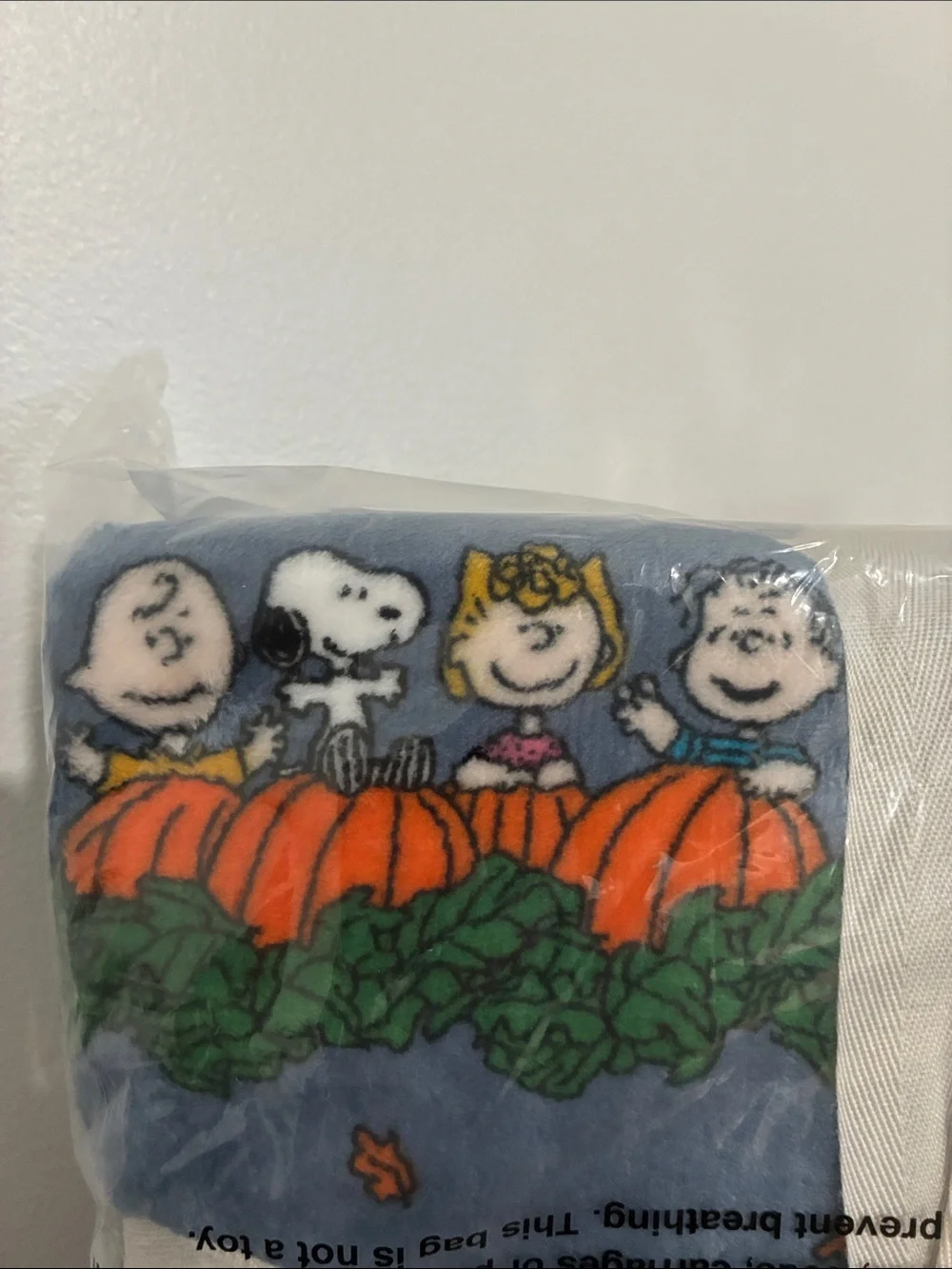 NWT-BERKSHIRE- Peanuts- Snoopy & Friends- Blue Fall VelvetSoft Blanket 55x70
